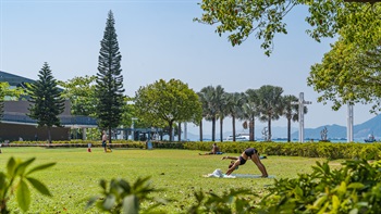 The lawn is barrier-free and accessible, making the location an ideal location for exercise or simply soaking up the sun.